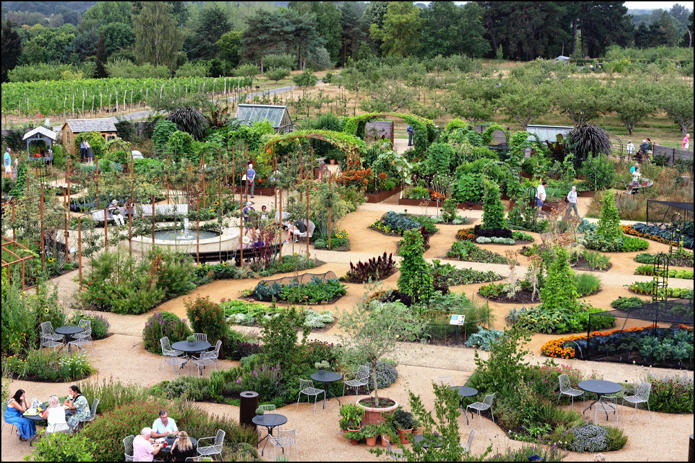 The World Food Garden at RHS Wisley