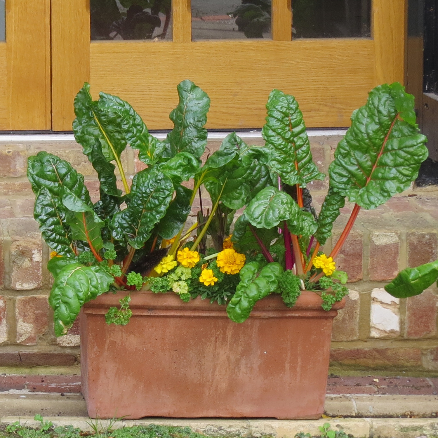 Terracotta Fresco Trough (2 sizes) TFT Riverhill Garden Supplies